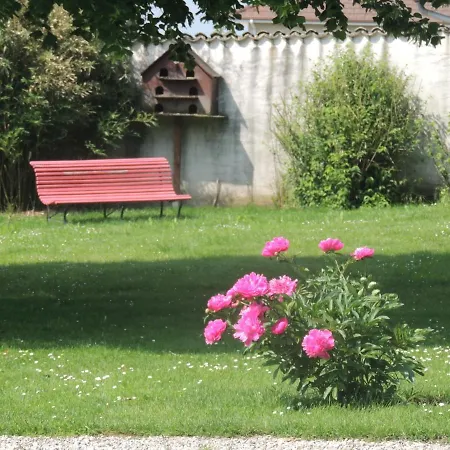Le Tilleul Montagnieu (Ain)