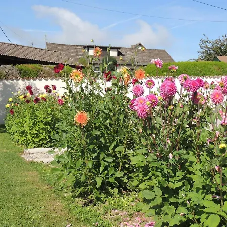 Le Tilleul * Montagnieu (Ain)